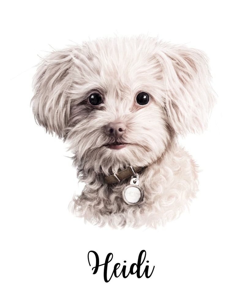Custom Pet Portrait Funny Dog Portrait Custom Dog Portrait Etsy