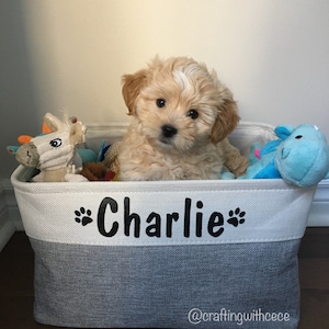 Wood Toy Storage Bin, Dog Toy Basket, Dog Toy Storage Box, Large Dog Stuff  Organizer with Handle, Dog Toy Bin with Chalkboard and Marker, Toy Storage