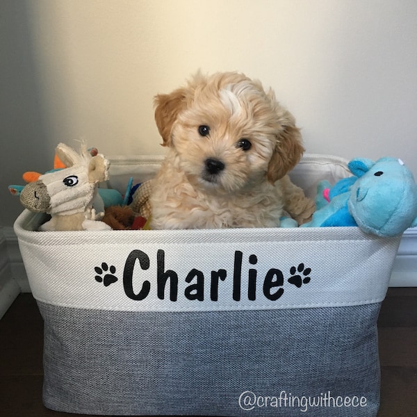 Poubelle personnalisée pour animaux de compagnie, poubelle de rangement pour jouets pour chiens