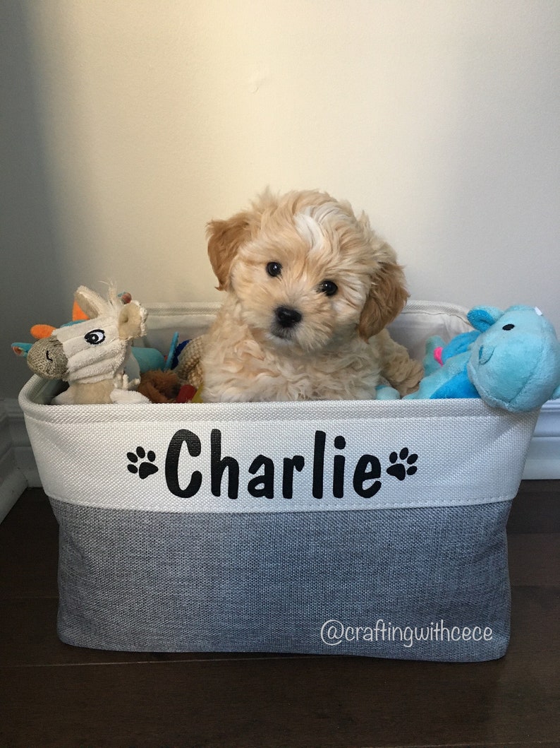 Personalized Pet Toy Bin Dog Toy Storage Bin Etsy