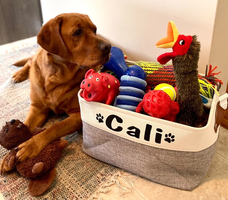 Personalized Pet Toy Bin Dog Toy Storage Bin Etsy