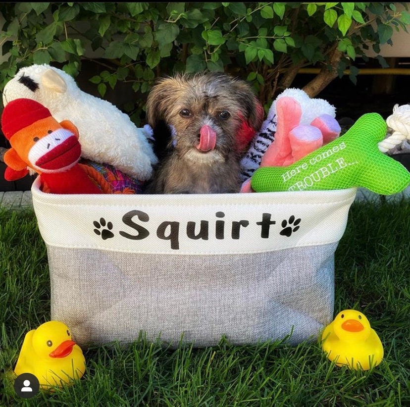 Personalized Pet Toy Bin Dog Toy Storage Bin Etsy