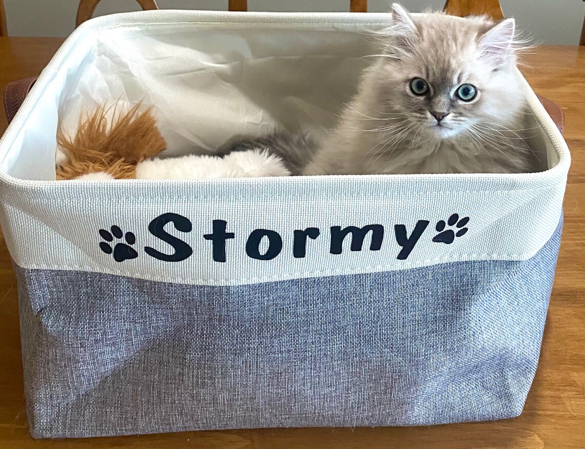 Cat Toy Storage Bin Pet Toy Storage Bin Etsy