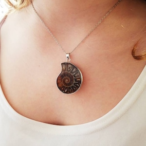 Fibonacci Fossil, Silver Lined Fossilized Spiral Shell Crystal Pendant Necklace