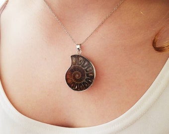 Fibonacci Fossil, Silver Lined Fossilized Spiral Shell Crystal Pendant Necklace