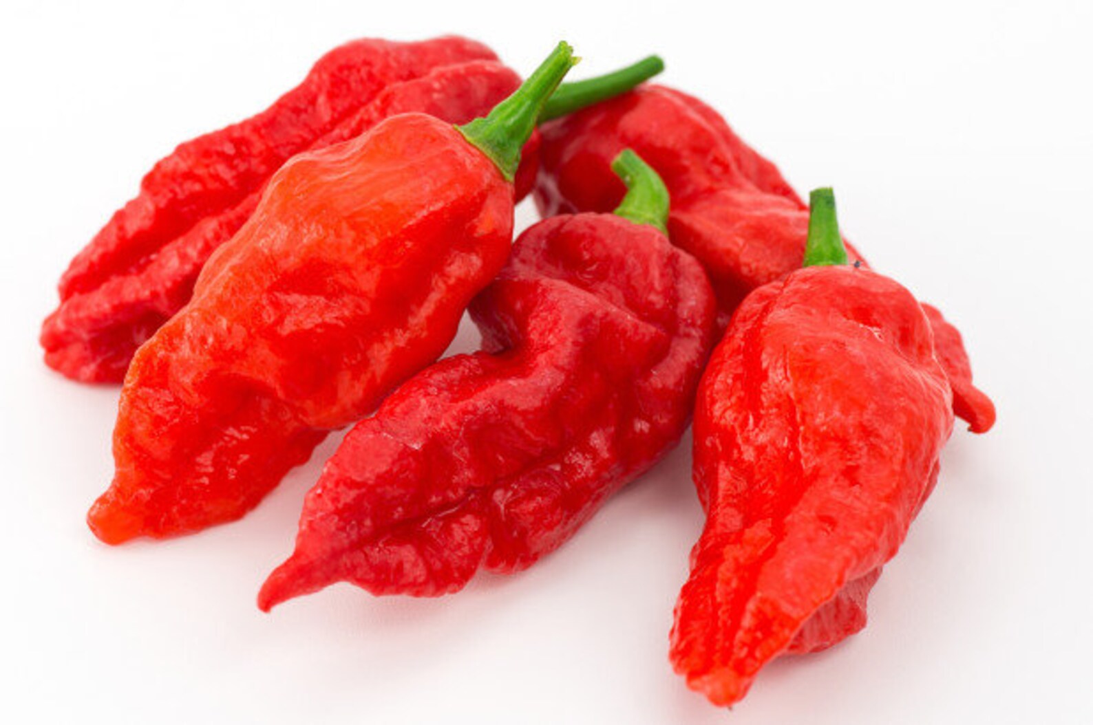 1 Lb Dried Ghost Pepper/ Chile Fantasma Seco Etsy