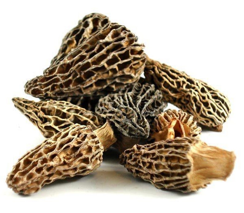 Dried Morel Mushrooms 1 Lbs - Etsy