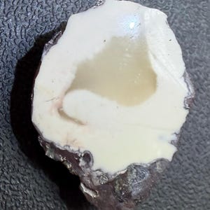 May include: A polished, irregular stone specimen featuring a smooth, creamy white surface with a translucent, light beige center. The outer edges of the stone are dark, textured, and jagged, contrasting with the flat, polished top surface.