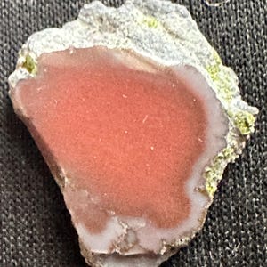 May include: A polished stone specimen featuring a vibrant red-orange center, bordered by a white and gray band. The outer edge is a rough, textured gray with patches of green and yellow. This geological sample is ideal for collectors.