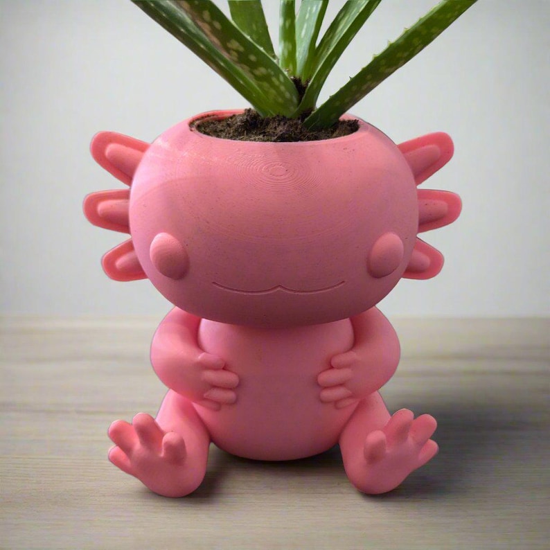 Gallery Detail: 3D Printed Axolotl Planter Eco Friendly Bio Based Material Cute