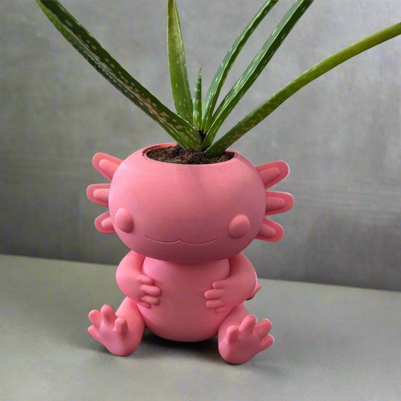 3D Printed Axolotl Planter Eco Friendly Bio Based Material Cute Photo Inspiration
