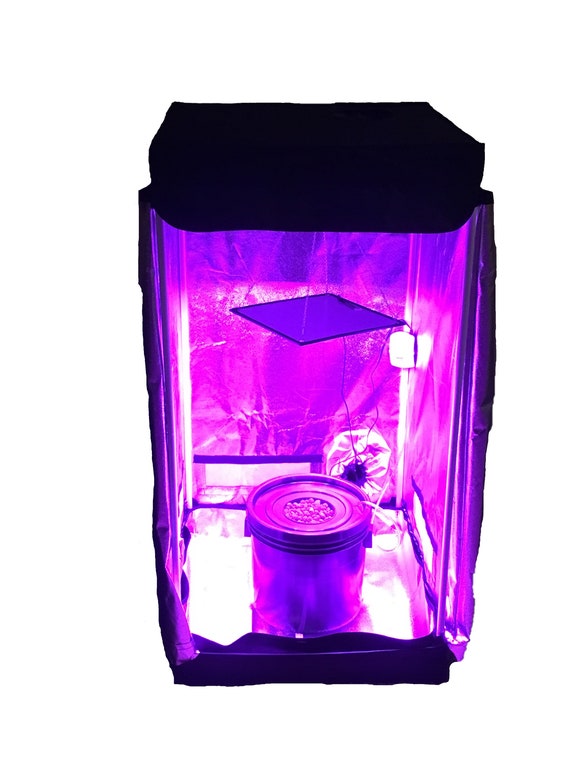 Hydroponic Grow System Complete Grow System 1 Site DWC Hydroponic Kit