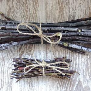 DIY dried willow branches/dried Willow twigs/Willow stick/Willow tree branchlets