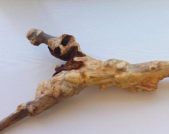 Sea Salted Driftwood Branch, Natural Wood Art Piece (21x6x62cm)