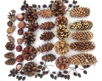 Natural Pine Cone Set, Wreath Making Supplies