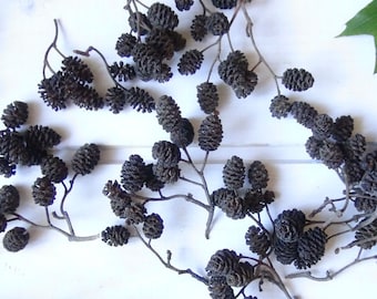 Natural Alder Cones, Craft Supplies, Terrarium Decor (300 Pieces)