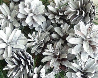 Pigne bianche vintage, decorazioni natalizie fai da te, set da 25