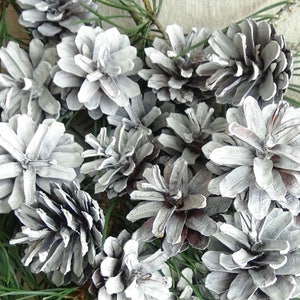 Vintage white pine cones,DIY,natural pine cones,tonned white,for wreaths,Christmas compositions,modeling,fantastic compositions,set of 25