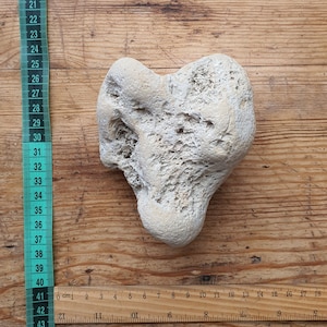 1 GRANDE sassolino a cuore/Cuore di pietra marina/Roccia a cuore da spiaggia/Roccia a cuore naturale/Pietra a cuore/Roccia a forma di cuore/Raccolto selvaggio/Ciottolo a forma di cuore