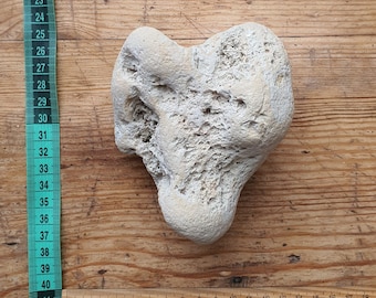 Large Heart Shaped Sea Stone: Baltic Beach Rock