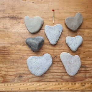 7 hartkiezels/zeestenen hart/strandhartrotsen/natuurlijke hartrotsen/hartstenen/hartvormige rotsen/wilde oogst/hartvormige kiezelstenen#set3