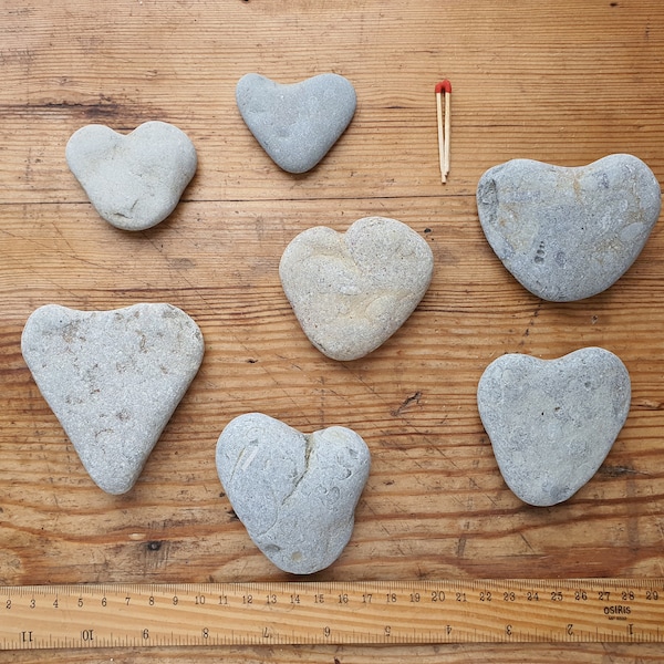 7 guijarros de corazón/piedras de mar corazón/rocas de corazón de playa/rocas de corazón naturales/piedras de corazón/rocas en forma de corazón/cosecha salvaje/guijarros en forma de corazón #set1