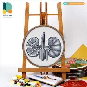 Human Kidneys Anatomy Cross Stitch Pattern and Kit: Modern Needlework Art and Embroidery Sampler for Unique Hoop Art, CS2063