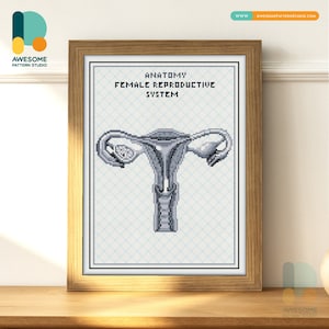 Sistema riproduttivo femminile: anatomia umana DS2071, kit fai da te per pittura a diamante / kit per pittura a diamante / kit per pittura a diamante per adulti