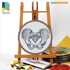 Pelvic Bone Anatomy Cross Stitch Pattern and Kit - Modern Cross Stitch Needlework Art, CS2066