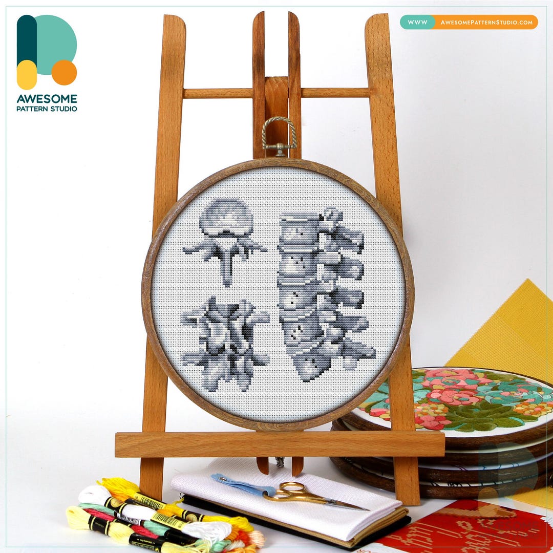 Lumbar Vertebrae Anatomy Cross Stitch Pattern and Kit - Modern ...