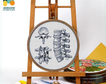 Patrón y kit de punto de cruz para la anatomía de las vértebras lumbares - Arte moderno de bordado con patrón en PDF y muestrario de bordado a mano, CS2080