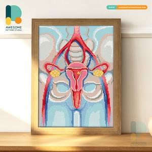 Sistema riproduttivo femminile DS2037, KIT fai da te per pittura con diamanti / Kit per pittura con diamanti / Kit per pittura con diamanti per adulti / Tutti gli articoli inclusi
