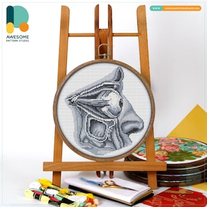Human Eye Anatomy Cross Stitch Pattern and Kit - Modern Needlework Art Embroidery Sampler, CS2061
