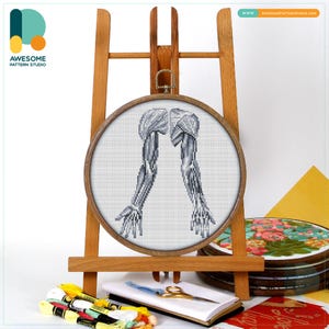 Upper Limb Muscles The Human Anatomy Cross Stitch Pattern and Kit - Modern Needlework Art and Embroidery Sampler, CS2085