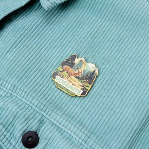 May include: A teal corduroy jacket with a Yosemite National Park pin. The pin features a deer, trees, and mountains with the words "YOSEMITE NATIONAL PARK" in a gold border.