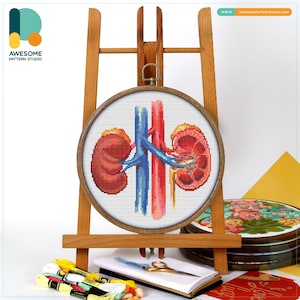 Kidney Anatomy Cross Stitch Pattern and Kit: Modern Embroidery Sampler for Unique Needlework Art, CS1084
