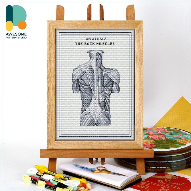 Back Muscles Anatomy Cross Stitch Pattern and Kit: Modern Cross Stitch ...