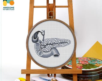 Human Pancreas Anatomy Cross Stitch Kit and Pattern - Modern Embroidery Sampler for Unique Needlework Art, CS2074