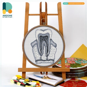 Human Tooth Anatomy Cross Stitch Pattern and Kit - Modern Needlework Art, Funny Embroidery Sampler for Dental Enthusiasts, CS2064