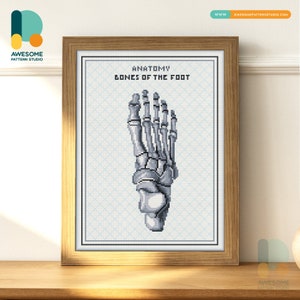 Ossa del piede, anatomia umana DS2067, kit fai da te per pittura a diamante / kit per pittura a diamante / kit di pittura a diamante per adulti / tutti gli articoli inclusi