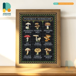 Funghi velenosi DS1979, KIT fai da te per pittura diamante / Kit pittura diamante / Kit arte diamante per adulti / Kit punti diamante 5d trapano completo