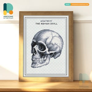 Teschio L'anatomia umana DS2058, KIT fai da te per pittura diamante / Kit pittura diamante / Kit arte diamante per adulti / Tutti gli articoli inclusi