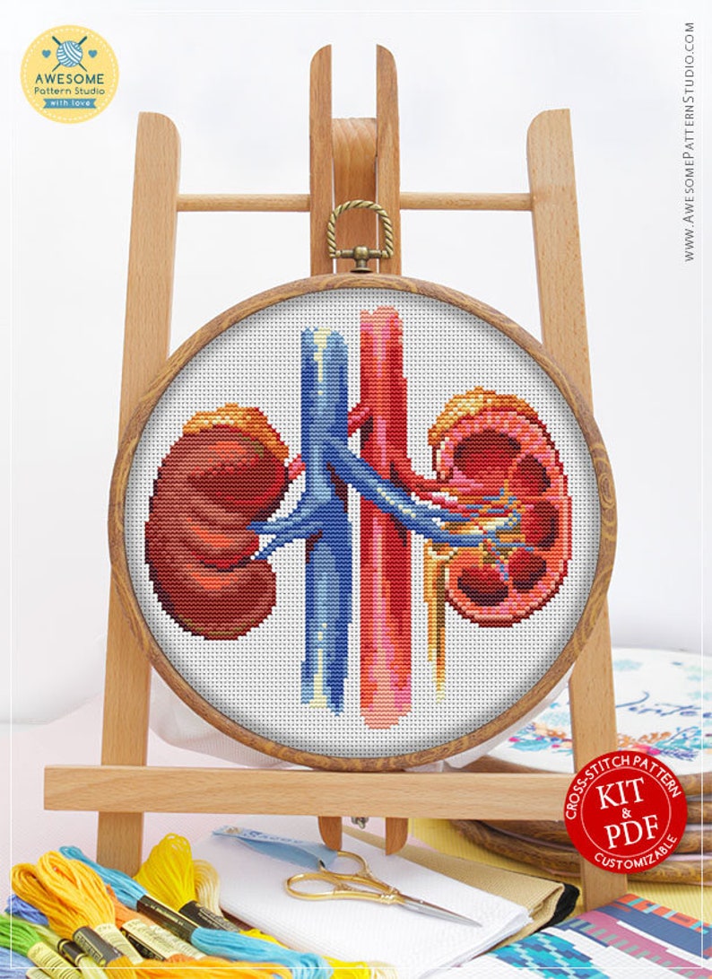 Human Body Kidneys CS1084 Counted Cross Stitch Pattern KIT Etsy