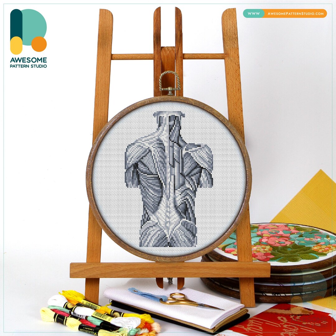 Back Muscles Anatomy Cross Stitch Pattern and Kit: Modern Cross Stitch ...