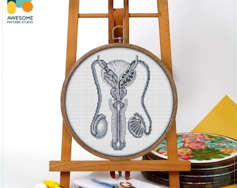 Male Reproductive Anatomy Cross Stitch Pattern and Kit Modern Embroidery Sampler Needlework Art PDF Pattern, CS2072