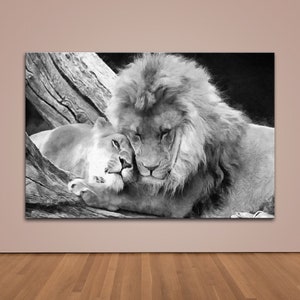 Lions in Love clipart for print, Lion And Lioness jpeg, Family of wild cats, Сouple Lions, Black and white digital art, Animals Lions jpg