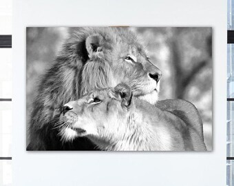 Couple of lion and lioness clipart jpeg, digital art with lion family, large art for print, Lion Love poster, lions for room design