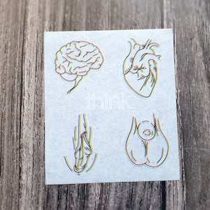Anatomical Vinyl Stickers, Body Parts Set of 4