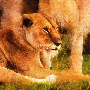 Lion Family print on Canvas, Large Art painting Savannah, Wild lions, African animals, Print African Lion family, lion and lioness with baby image 4