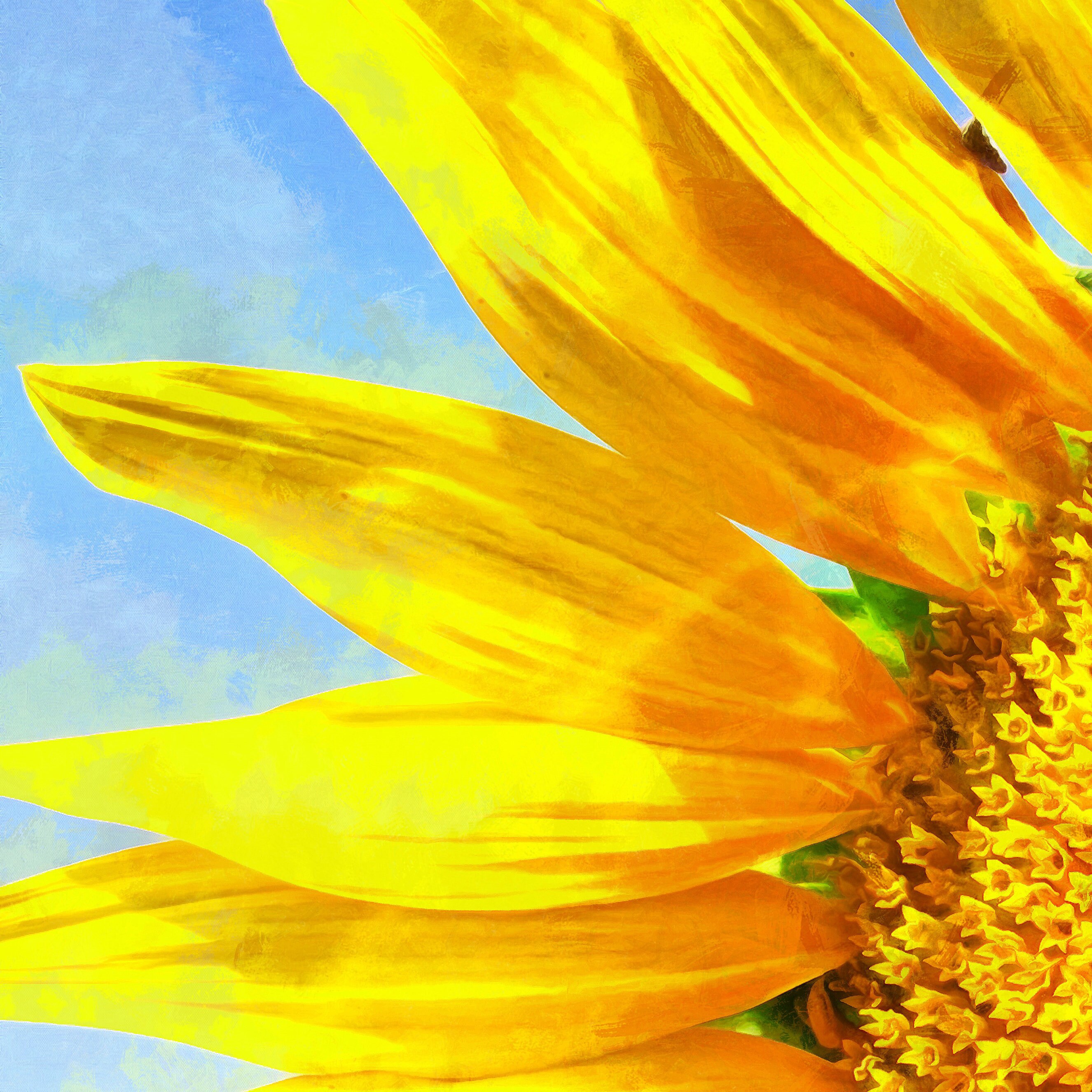 Closeup Sunflower Canvas Sunflowers Wall Art Flowers Etsy